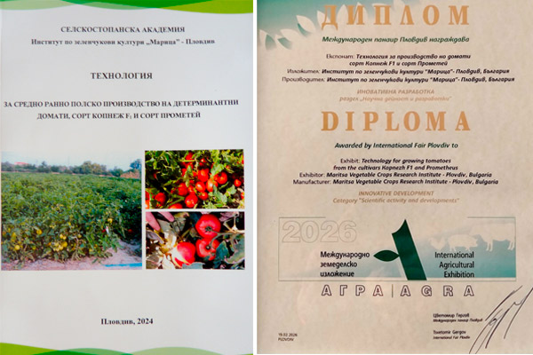 diploma