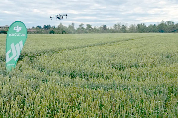 drone