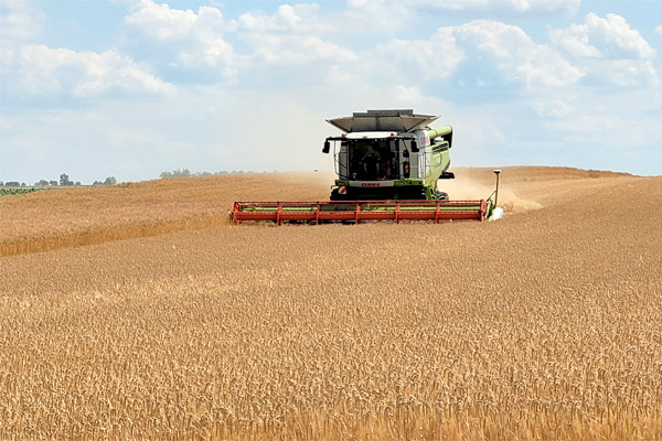 harvest
