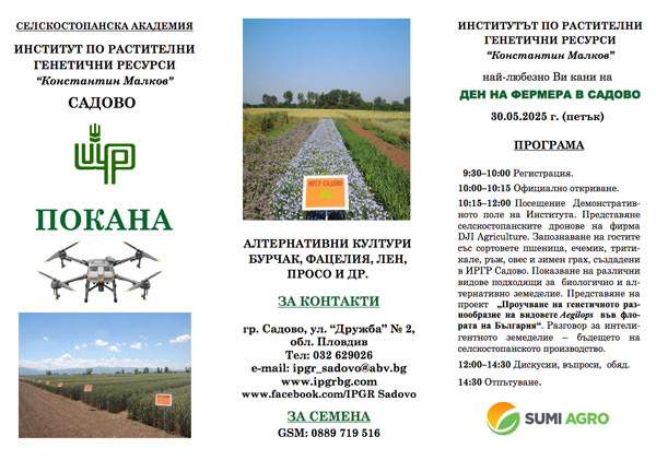 invitation