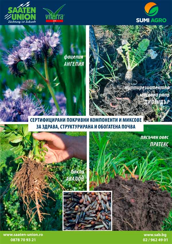 cover crops