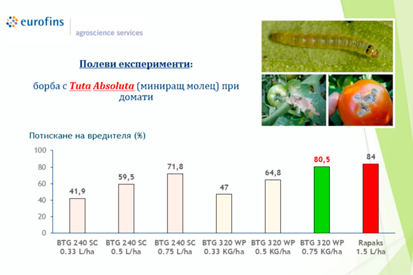 field