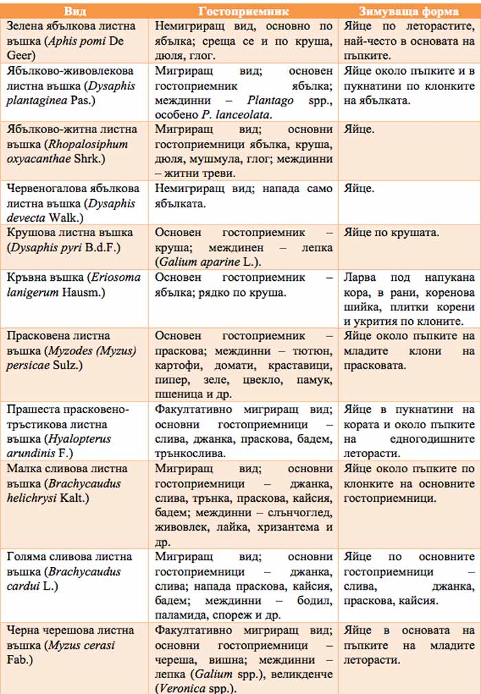 MultipartFile resource [file_data]