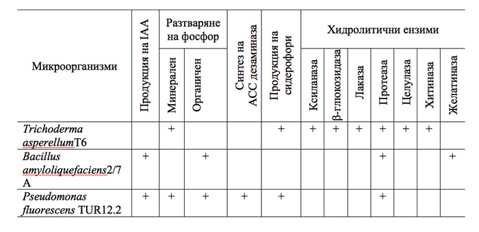 MultipartFile resource [file_data]