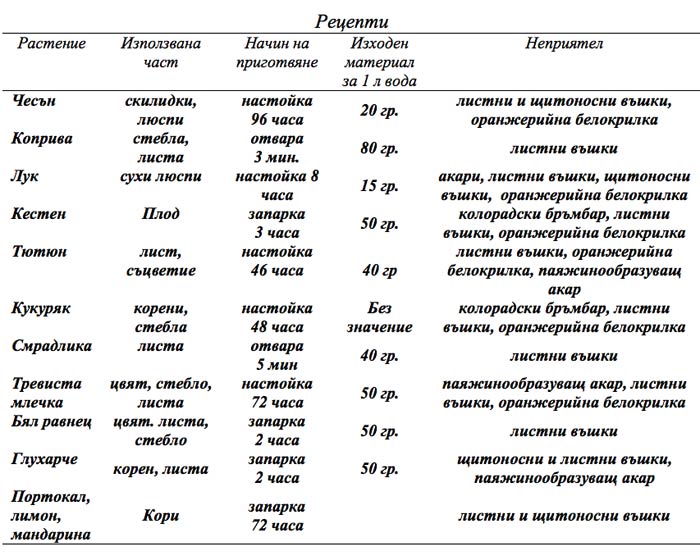 decoctions