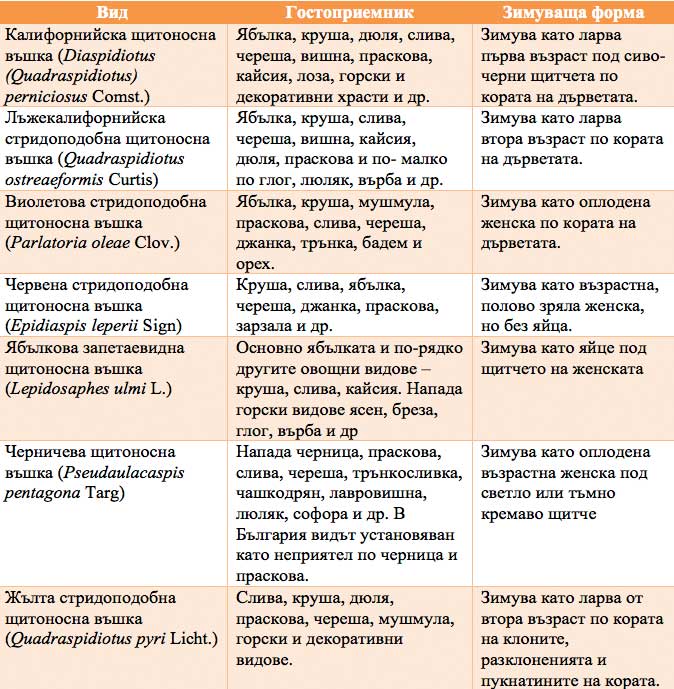 MultipartFile resource [file_data]