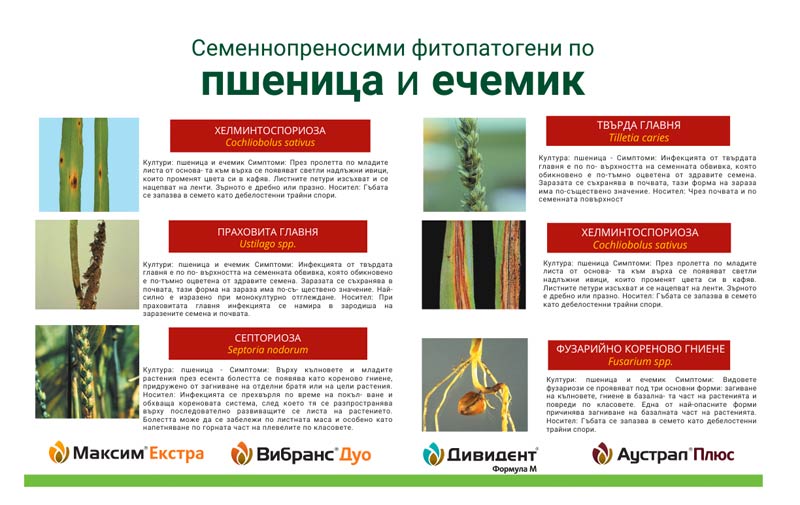 phytopathogens